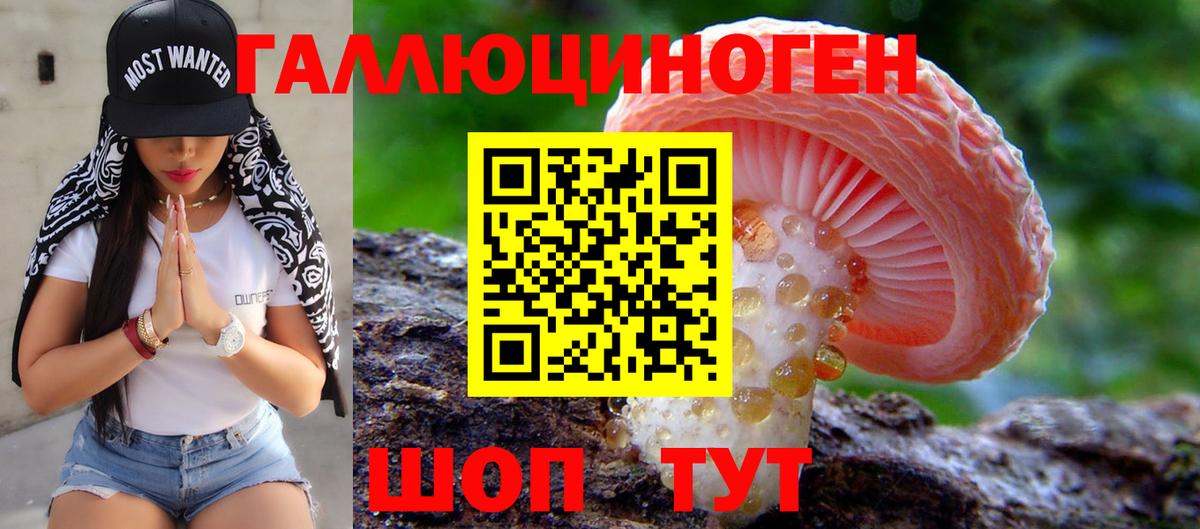 Галлюциногенные грибы Magic Shrooms  Галлюциногенные грибы прущие грибы  Вход с VPN  Коммунар 